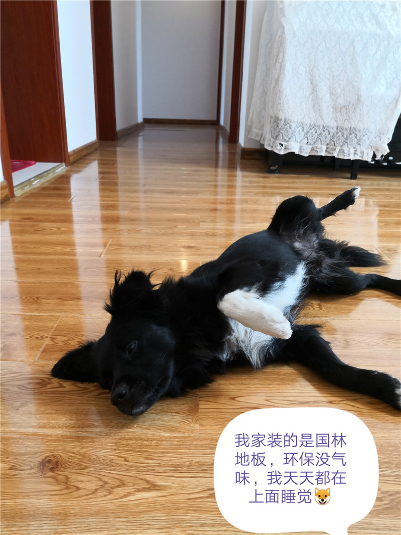 云体育官网-云体育（中国）
